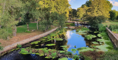 Parque Ansuiña